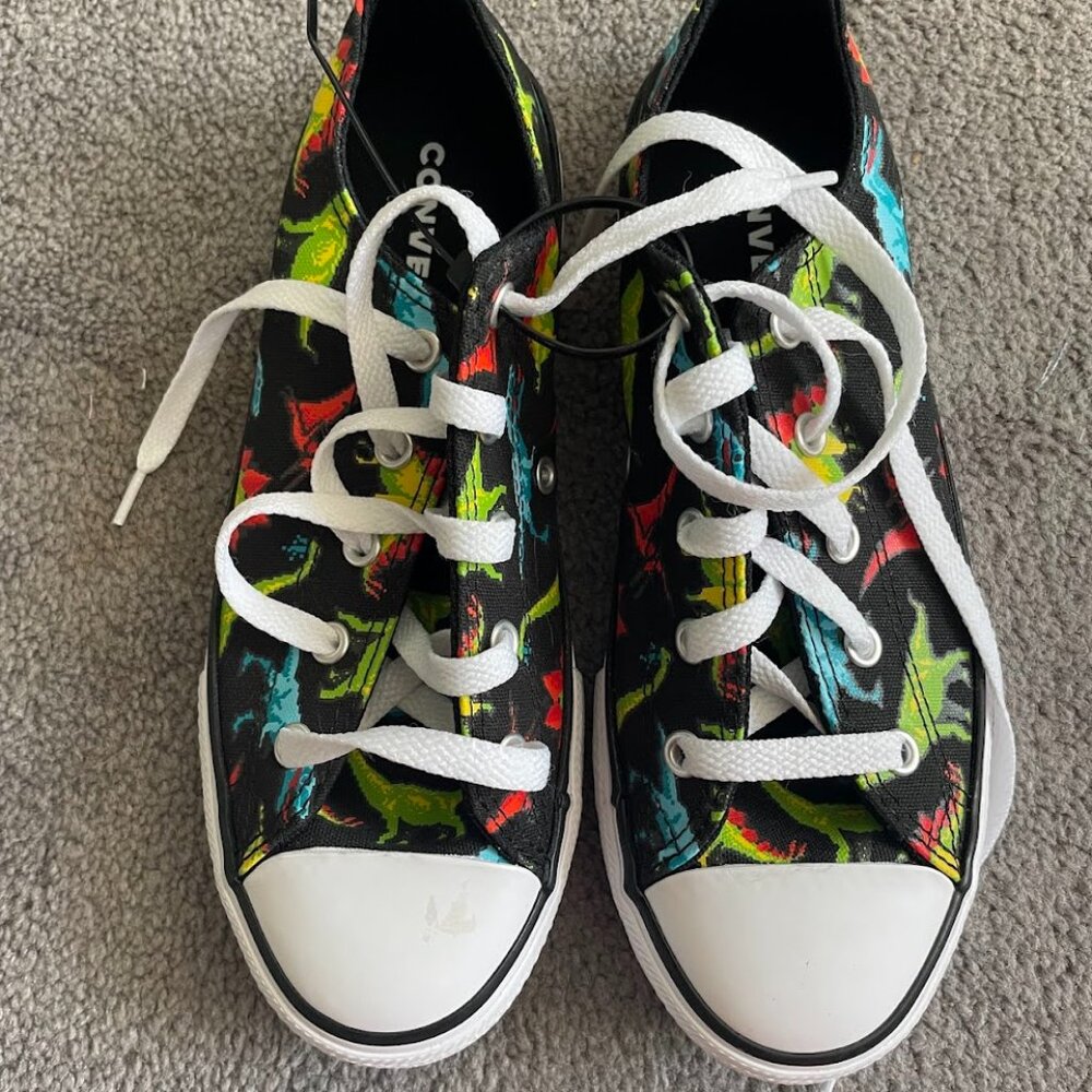 Kids Converse Dinosaur Chuck Taylors, Size 3Y